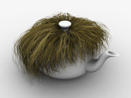 Hairy teapot